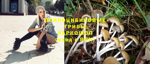 амф Алзамай