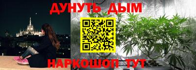 амф Можга